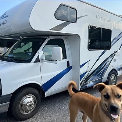 dog friendly motorhome